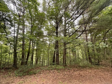 Carters Lake Lot Sale Pending in Ranger Georgia