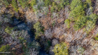 Riverfront Living in a Gated Golf Community! Build your dream - photo 5