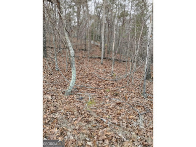 Lake Allatoona Lot For Sale in Canton Georgia