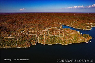 Lake Lot For Sale in Gravois Mills, Missouri
