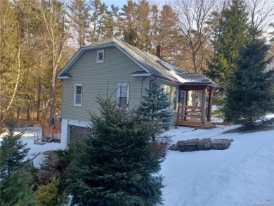 RARE OPPORTUNITY - Lake Home For Sale in Eldred, New York