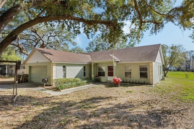Lake Home For Sale in Leesburg, Florida