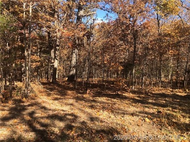 This 4.9 acres offers a great location to build that dream house - photo 1