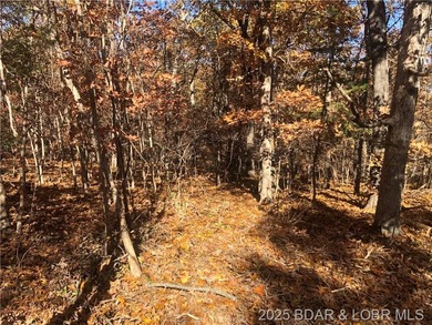 This 4.9 acres offers a great location to build that dream house - photo 3