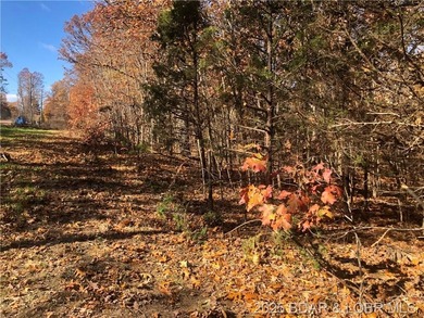This 4.9 acres offers a great location to build that dream house - photo 4