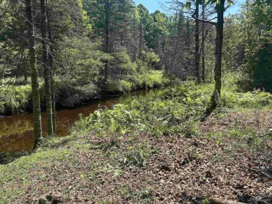 Lake Acreage Sale Pending in Perkins, Michigan