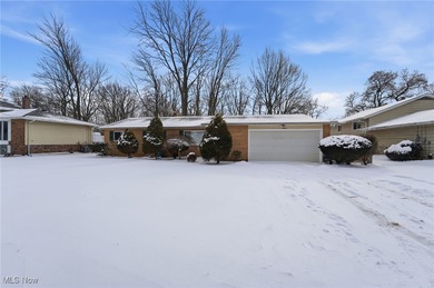 Lake Erie - Lake County Home Sale Pending in Mentor Ohio