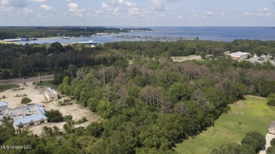 Ross Barnett Reservoir Acreage For Sale in Ridgeland Mississippi