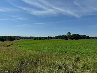 Fish Lake - Kanabec County Acreage For Sale in Arthur Twp Minnesota