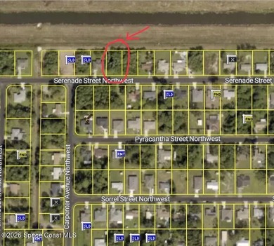 Build Your Dream Home in Palm Bay! Discover the perfect blend of - photo 1