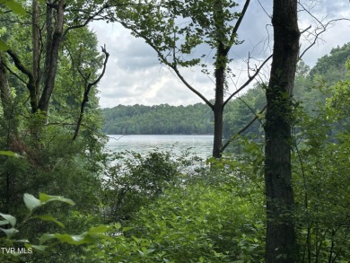 (private lake, pond, creek) Acreage For Sale in Piney Flats Tennessee