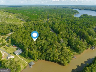 Lake Acreage For Sale in Eatonton, Georgia