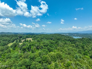 Lake Acreage For Sale in Piney Flats, Tennessee