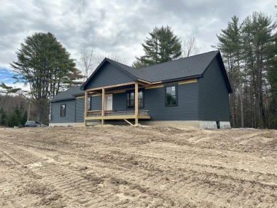 Lake Home For Sale in Harrison, Maine