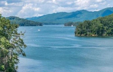 Incredible view of Watauga Lake! Mountains and Lake views are - photo 3
