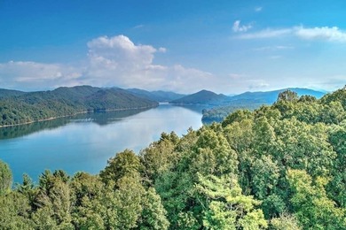 Incredible view of Watauga Lake! Mountains and Lake views are - photo 6