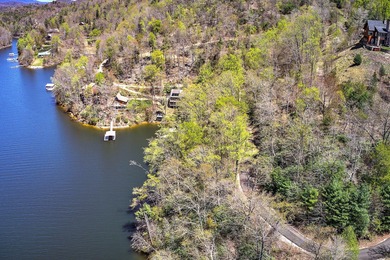 Incredible view of Watauga Lake! Mountains and Lake views are - photo 8