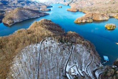 Lake Lot For Sale in Butler, Tennessee