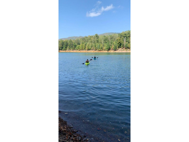 Incredible view of Watauga Lake! Mountains and Lake views are - photo 4