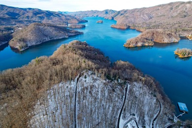 Incredible view of Watauga Lake! Mountains and Lake views are - photo 7