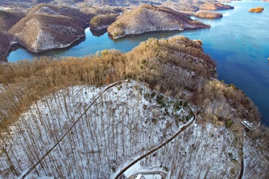 Incredible view of Watauga Lake! Mountains and Lake views are - photo 9