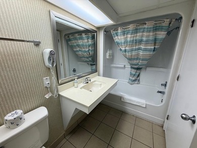Experience breathtaking oceanfront living from the 17th floor of - photo 14