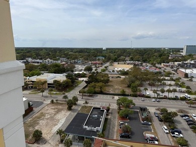 Experience breathtaking oceanfront living from the 17th floor of - photo 34