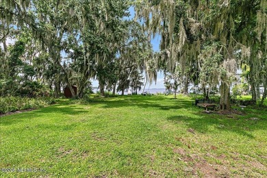 Picture your life on the St Johns River. A pair of bald eagles - photo 38