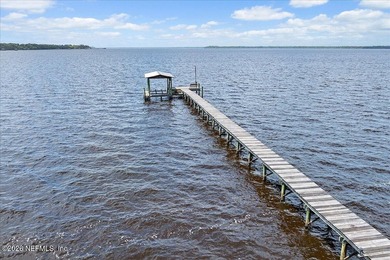 Picture your life on the St Johns River. A pair of bald eagles - photo 42