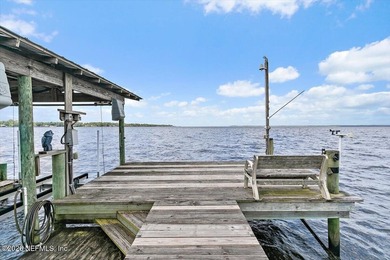 Picture your life on the St Johns River. A pair of bald eagles - photo 44