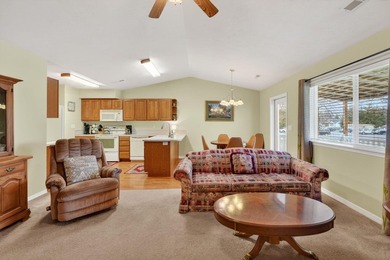 NO STEPS, just walk in and relax. This home offers a large - photo 5