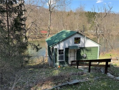 (private lake, pond, creek) Home For Sale in Sidney New York