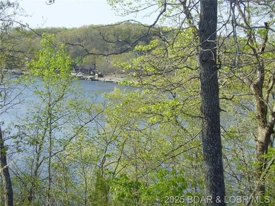 Nice Lake View Building Lot. Utilities above and below the Lot - photo 2
