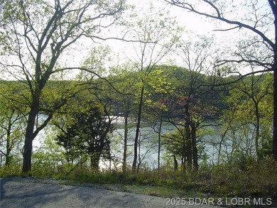 Nice Lake View Building Lot. Utilities above and below the Lot - photo 3
