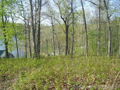 Nice Lake View Building Lot. Utilities above and below the Lot - photo 5