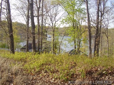 Nice Lake View Building Lot. Utilities above and below the Lot - photo 6