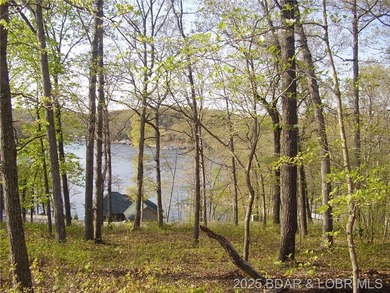 Nice Lake View Building Lot. Utilities above and below the Lot - photo 7