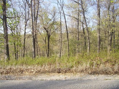 Nice Lake View Building Lot. Utilities above and below the Lot - photo 10