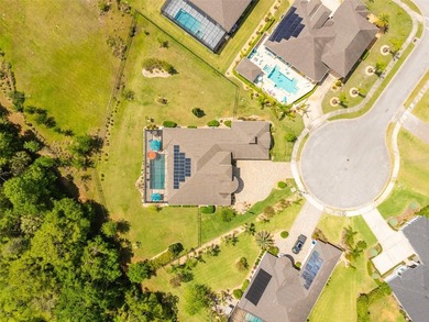 Welcome to one of Port Orange's most impressive luxury - photo 48