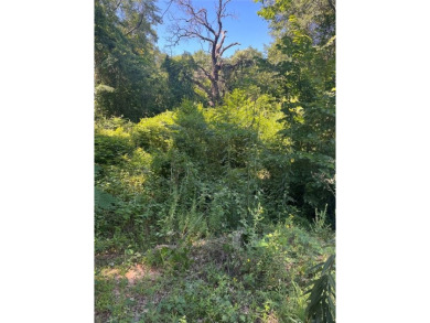 This property is a great spot on a peaceful road in Bonanza - Lake Lot For Sale in Eustace, Texas