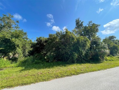 This lot is ready for your home! Close to all Port Charlotte has - photo 2