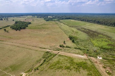 (private lake, pond, coastal) Acreage For Sale in Poplarville Mississippi