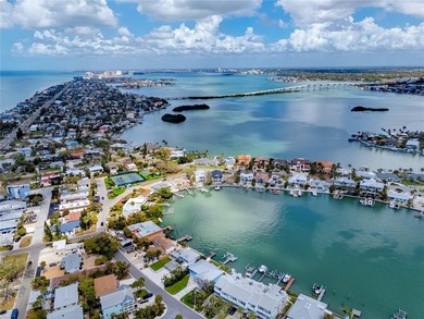 The only elevated waterfront home available in Indian Rocks - photo 47