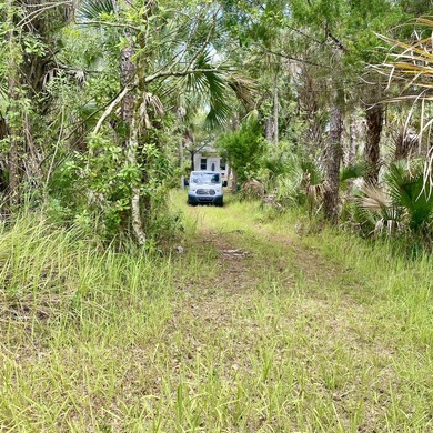 CASH ONLY no owner financing. Taking the simple life outdoors! - photo 9