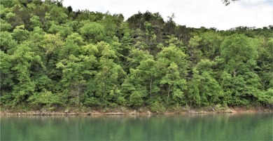 Lake Acreage For Sale in Eureka Springs, Arkansas