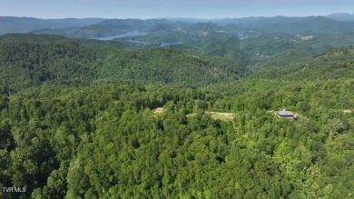 Lake Acreage For Sale in Butler, Tennessee