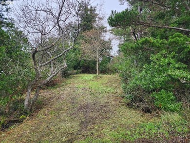 In-town vacant lot with potential Ocean views! Conveniently - photo 1