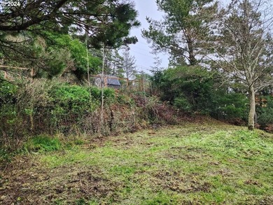 In-town vacant lot with potential Ocean views! Conveniently - photo 4