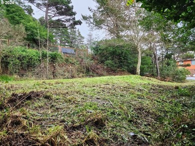In-town vacant lot with potential Ocean views! Conveniently - photo 5