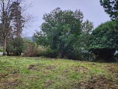 In-town vacant lot with potential Ocean views! Conveniently - photo 6